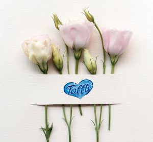 Foto Logo Toffly con fiori